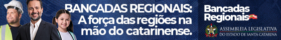 Banner Topo